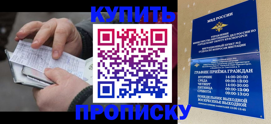 временная регистрация недорого в Пионерском